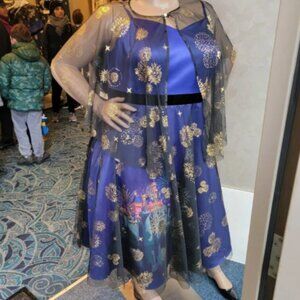 Disney Castle and Fireworks dress size 22W